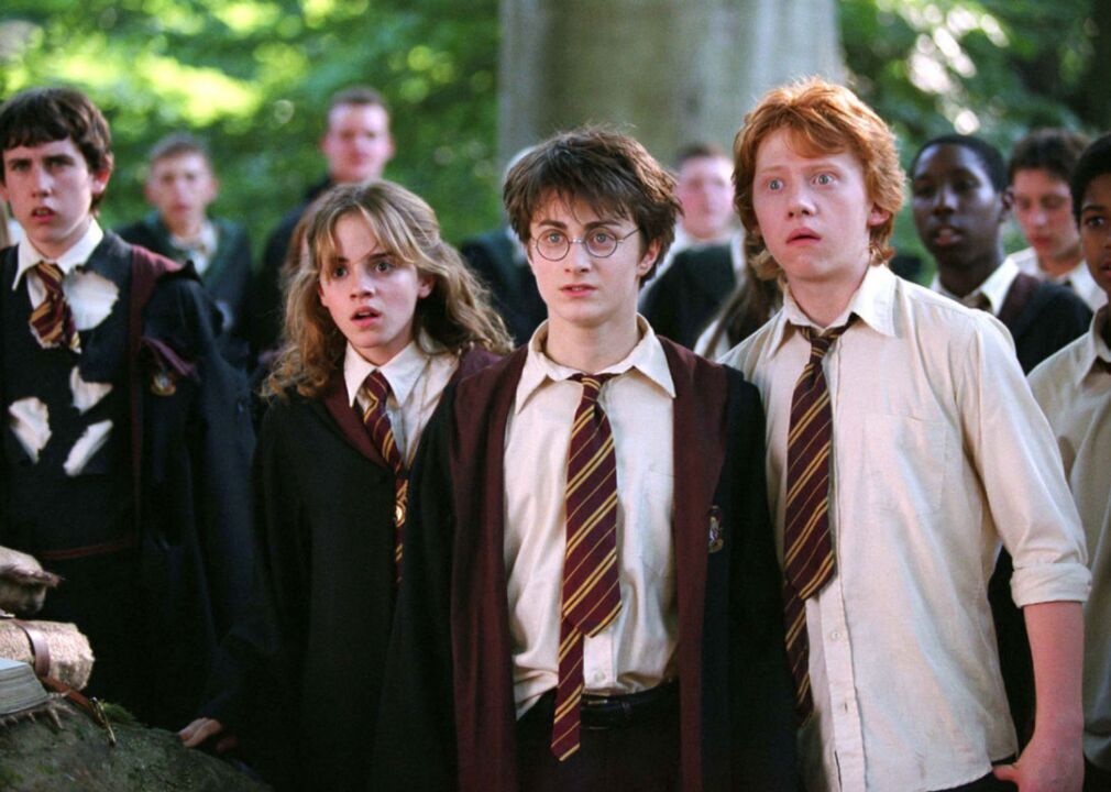 #5. Harry Potter